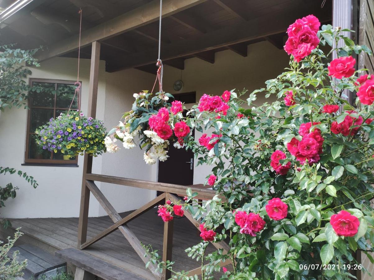 Boutigue City House With Terrace And Garden Free Parking รีกา ภายนอก รูปภาพ