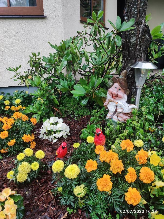 Boutigue City House With Terrace And Garden Free Parking รีกา ภายนอก รูปภาพ